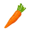 Carrot icon vector illustration