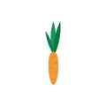 Carrot. Carrot on a white background. Natural product. Vector illustration. EPS 10.