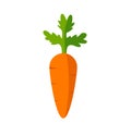 Carrot icon vector illustration