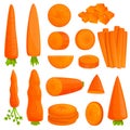 Carrot icons set, cartoon style