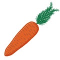 Carrot Royalty Free Stock Photo
