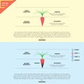 Carrot infographic analogy