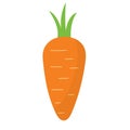Carrot isolated element in cartoon style on white background