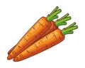 Carrot isolated icon Royalty Free Stock Photo