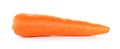 Carrot isolated on the white background