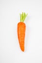 Carrot