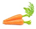 Carrot isolated on white