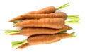 Carrot isolated on white background Royalty Free Stock Photo