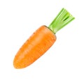 Carrot isolated on white background. Fresh ripe vegetables Royalty Free Stock Photo