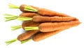 Carrot isolated on white background Royalty Free Stock Photo