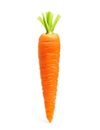 Carrot isolated on white