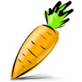 Carrot isolated on white vector illustration