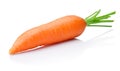 Carrot isolated on withe background