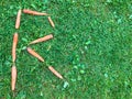 Carrot letters lie on the lawn. letter r on the grass. vitamin alphabet. creative lettering. letters for composing words. creative