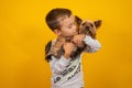 Carrot Lies On A Black BackgroundLittle Boy With Dog Yorkshire Terrier On A Yellow Background