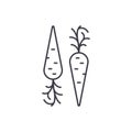 Carrot line icon concept. Carrot vector linear illustration, symbol, sign