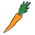 Carrot linear icon. Agriculture plant. Salad ingredient. Vegetable farm. Vegan food. Organic food. Greenery. Thin line