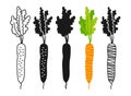 Carrot linear icon cartoon symbol set silhouette shape food diet simple icon design logo vector