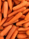 Carrot