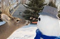 snowman and big buck deer Royalty Free Stock Photo