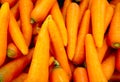 Carrot orange color fresh