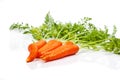 Carrot. Healthy lifestile. Green concept Royalty Free Stock Photo