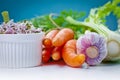 Garlic. Healthy lifestile. Green concept Royalty Free Stock Photo