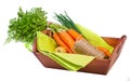 Carrot. Healthy lifestile. Green concept Royalty Free Stock Photo