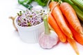 Carrot. Healthy lifestile. Green concept Royalty Free Stock Photo