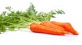 Carrot. Healthy lifestile. Green concept