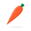 Carrot orange vector illustration Royalty Free Stock Photo