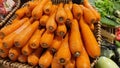Carrot orange vegetable vitamin carotene