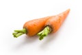 Carrot . Organic vegetable