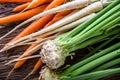Carrot parsnip celery. Celery carrot and parsnip on rustic oak table Royalty Free Stock Photo