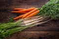 Carrot parsnip celery. Celery carrot and parsnip on rustic oak table Royalty Free Stock Photo