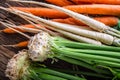 Carrot parsnip celery. Celery carrot and parsnip on rustic oak table Royalty Free Stock Photo