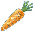 Carrot pencil colour child scribble style Royalty Free Stock Photo