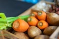 Carrot and Potato in wood box with studiolight Royalty Free Stock Photo