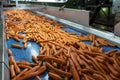 Carrot Processing Line Royalty Free Stock Photo