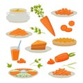carrot products. sliced natural healthy orange color vegetables with carotene. Vector pictures of carrot juice and