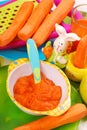 Carrot puree for baby Royalty Free Stock Photo