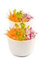 Carrot and radish salad Royalty Free Stock Photo