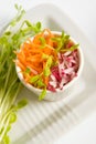Carrot and radish salad with p Royalty Free Stock Photo