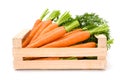 Carrot roots (Daucus carota ssp. sativus) in wooden crate