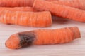 Carrot disease, rot, fungus.Concept of wrong storage ,causes of vegetable decay