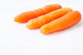 Carrot Royalty Free Stock Photo