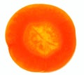 Carrot slice on white / super close-up