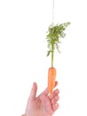 Carrot and stick approach Royalty Free Stock Photo