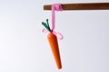 Carrot or stick approach idiom Royalty Free Stock Photo