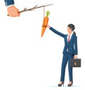 Carrot on a stick and businesswoman Royalty Free Stock Photo